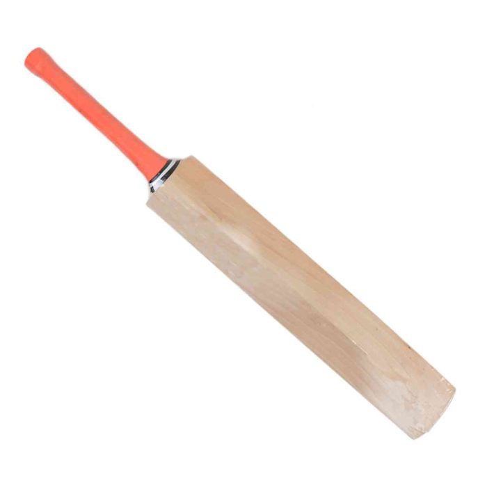 cricket-bat02